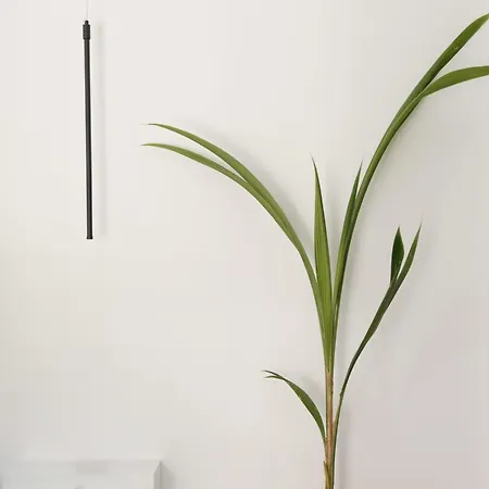 Mouzakitis 1 Arillas Agiou Georgiou